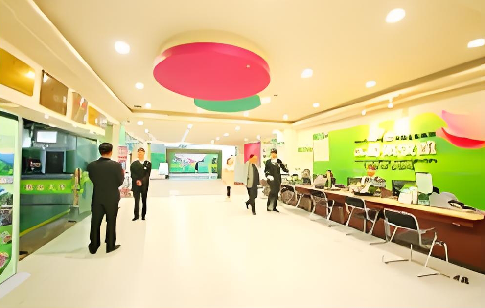 前台大厅业务办理